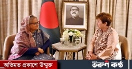 বাংলাদেশের স্থিতিশীল অর্থনীতির প্রশংসা আইএমএফ প্রধানের