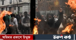 মে দিবসে ফ্রান্সে সংঘর্ষে ১০৮ পুলিশ আহত, আটক ২৯১ 
