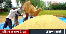 বোরো সংগ্রহে ৫০ কেজির বস্তা ব্যবহারের নির্দেশ বোরো সংগ্রহে ৫০ কেজির বস্তা ব্যবহারের নির্দেশ