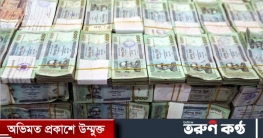 সাড়া দেয়নি কোনো পাচারকারীই, দেশে ফেরেনি এক পয়সাও 