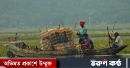 হাওরে প্লাসিকের চাঁইয়ের সয়লাব পরিবেশ ও জীববৈত্র‍্যের সর্বনাশ