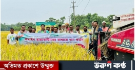 লাকসামে সমলয় চাষাবাদে বোরো ধানের বাম্পার ফলন লাকসামে সমলয় চাষাবাদে বোরো ধানের বাম্পার ফলন