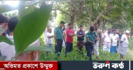 এক রশিতে ঝুলছিল দুই বন্ধুর নিথর দেহ এক রশিতে ঝুলছিল দুই বন্ধুর নিথর দেহ