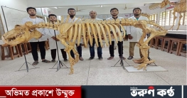 পবিপ্রবিতে দেশে  একমাত্র জলহস্তী কংকাল প্রস্তুত