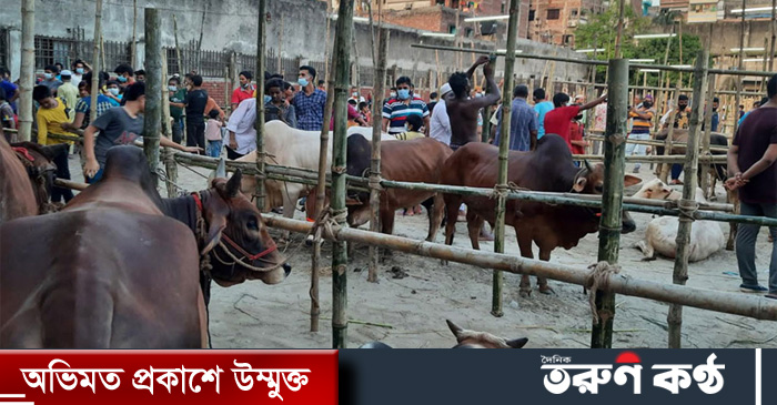 কোরবানির হাটে পশু কেনার পর ক্রেতা বা বিক্রেতার কাছ থেকে হাসিল নেওয়ার নামে হাট ইজারাদারদের অর্থ আদায় বন্ধের নির্দেশনা চেয়ে হাইকোর্টে রিট দায়ের করা হয়েছে।