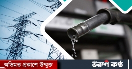 বিদ্যুৎ ও জ্বালানি খাতের ঋণ কত, জানতে চায় কেন্দ্রীয় ব্যাংক