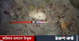 কালুখালীতে যুবলীগ নেতা ও ইউপি সদস্যের বাড়িতে হামলার অভিযোগ কালুখালীতে যুবলীগ নেতা ও ইউপি সদস্যের বাড়িতে হামলার অভিযোগ