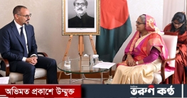 প্রধানমন্ত্রীর সঙ্গে প্রিন্স রহিম আগা খানের বৈঠক প্রধানমন্ত্রীর সঙ্গে প্রিন্স রহিম আগা খানের বৈঠক