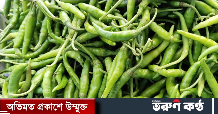 আমদানি শুরুর খবরে সোমবার কাঁচা মরিচের দাম কেজিপ্রতি নেমেছিল ২০০ টাকার ঘরে। মঙ্গলবার দাম কিছুটা বেড়ে ৩০০ থেকে ৩৫০ টাকায় উঠে যায়। এক দিনের ব্যবধানে এবার ৫০০ টাকা ছাড়িয়েছে এক কেজি কাঁচা মরিচের দাম।