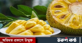 বর্ষায় ভরসা রাখুন ৫ দেশজ ফলে