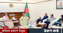 বায়ুবিদ্যুৎ উৎপাদনে ১.৩ বিলিয়ন ডলার দিতে আগ্রহী ডেনমার্ক