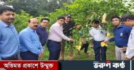 আম রপ্তানি বৃদ্ধির পদক্ষেপ নিতে চাঁপাইনবাবগঞ্জে অতিরিক্ত সচিব