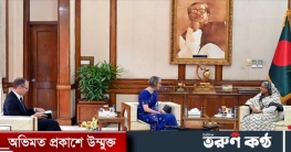 প্রধানমন্ত্রীর সঙ্গে ব্রিটিশ হাই কমিশনারের সৌজন্য সাক্ষাৎ 