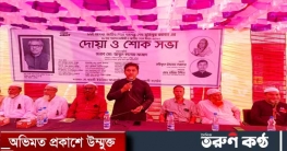 এদেশের জনগণের কল্যাণে বঙ্গবন্ধুর ন্যায় বঙ্গকন্যা শেখ হাসিনা