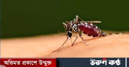 বিশ্ব মশা দিবস আজ