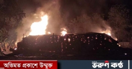 সালথায় আগুনে পুড়লো চায়না কার্বন ফ্যাক্টরির গোডাউন