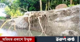 শেরপুরে পানি নেমে গেলেও ভাঙনে বিলীন হচ্ছে ফসলি জমি ও ঘরবাড়ি