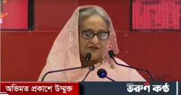 বিএনপি সরকারের আমলে বাংলাদেশের অর্থনীতি মন্দার কবলে পড়েছিল