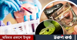 অ্যান্টি ভেনাম তৈরি হয় কীভাবে?
