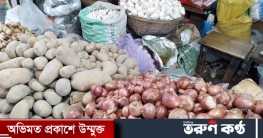 সরকারি দাম কার্যকর হয়নি, খুচরা বাজারে আলু পেঁয়াজের সংকট