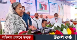 ভিসানীতি নিয়ে সরকার নয়, বিএনপি চাপে আছে: শিক্ষামন্ত্রী