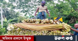 কালীগঞ্জে কর্মহীন জীবনে বিলের শাপলায় জীবন জীবিকা কালীগঞ্জে কর্মহীন জীবনে বিলের শাপলায় জীবন জীবিকা