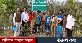 যশোর বনবিভাগ কর্তৃক সরকারি জমির উপর দৃশ্যমান বনজ বৃক্ষের বাগান যশোর বনবিভাগ কর্তৃক সরকারি জমির উপর দৃশ্যমান বনজ বৃক্ষের বাগান