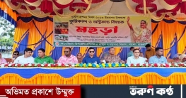 পাংশায় আন্তর্জাতিক দুর্যোগ প্রশমন দিবস পালিত