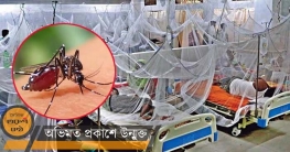 চিকিৎসাধীন অবস্থায় ফরিদপুরে ডেঙ্গুতে আরও দুজনের মৃত্যু