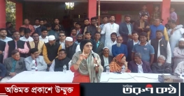 অধ্যাপক রুমানা আলী টুসির নির্বাচনি পথ সভা মির্জাপুর ইউনিয়নে