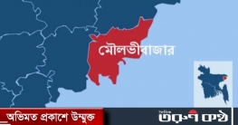 সীমান্ত থেকে বাংলাদেশি যুবককে পিটিয়ে নিয়ে গেছে বিএসএফ