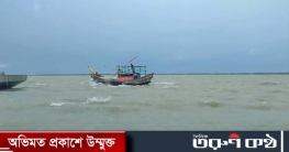 প্রাকৃতিক সৌন্দর্য দর্শনীয়,পর্যটনের সম্ভাবনাময় রাঙ্গাবালী