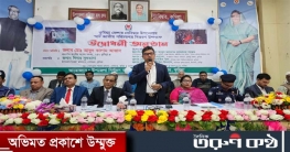 শেখ হাসিনার নেতৃত্বে দেবিদ্বারকে স্মার্ট উপজেলা হিসেবে গড়বোঃ আজাদ