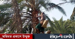 রাঙ্গাবালী থেকে হাড়িয়ে যাচ্ছে খেজুর রসের ঐতিহ্য