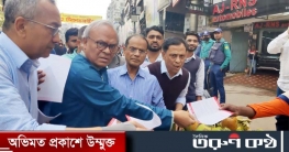 ঐক্যবদ্ধ হয়ে সরকারের পতন ঘটানো হবে: রিজভী