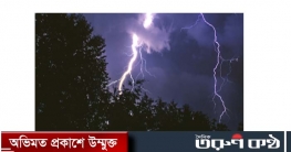 ধান কাটতে গিয়ে বজ্রপাতে যুবক নিহত