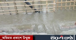 বিদ্যুৎ বিচ্ছিন্ন পুরো বাগেরহাট, জলোচ্ছ্বাসে প্লাবিত নিম্নাঞ্চল