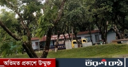 বিজিবির অভিযানে ২ ট্রাক ভারতীয় চিনি আটক