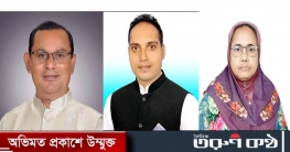 রাঙ্গাবালী উপজেলা নির্বাচনে বিজয়ী হলেন যারা