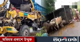 কুমিল্লায় গরুবোঝাই ট্রাক উল্টে নিহত ২