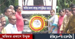 কুমিল্লায় নানা আয়োজনে আওয়ামীলীগের ৭৫তম প্রতিষ্ঠা বার্ষিকী পালিত