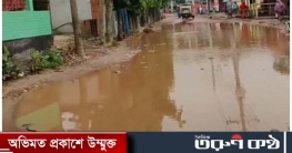 বাঘের বাজারে আঞ্চলিক সড়ক সংস্কারে উদ্যোগ নেয়ই কারো