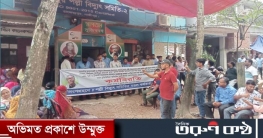 পল্লী বিদ‍্যুৎ সমিতির কর্মকর্তা কর্মচারিদের অষ্টম দিনের কর্ম বিরত