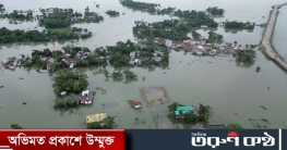 বাংলাদেশসহ ৩ দেশে প্রাণহানি ১১৪ জনের, পানিবন্দি লাখ লাখ মানুষ