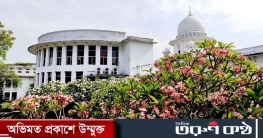 ৭১ সালের সব নাগরিককে মুক্তিযোদ্ধা ঘোষণার নির্দেশনা চেয়ে রিট