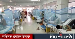 ডেঙ্গুতে একদিনে ৫ জনের মৃত্যু, হাসপাতালে ভর্তি ৫৩৪ জন