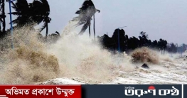 নিম্নচাপে সাগর উত্তাল, সমুদ্রবন্দরে ১ নম্বর সংকেত