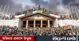 দেশে প্রতিবিপ্লবের আশঙ্কা কতটা?