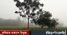 প্রকৃতিতে শীতের আগমন