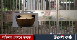 গাজীপুরে বিদ‍্যালয়ের গেটে দুর্বৃত্তের হামলা, থানায় অভিযোগ।